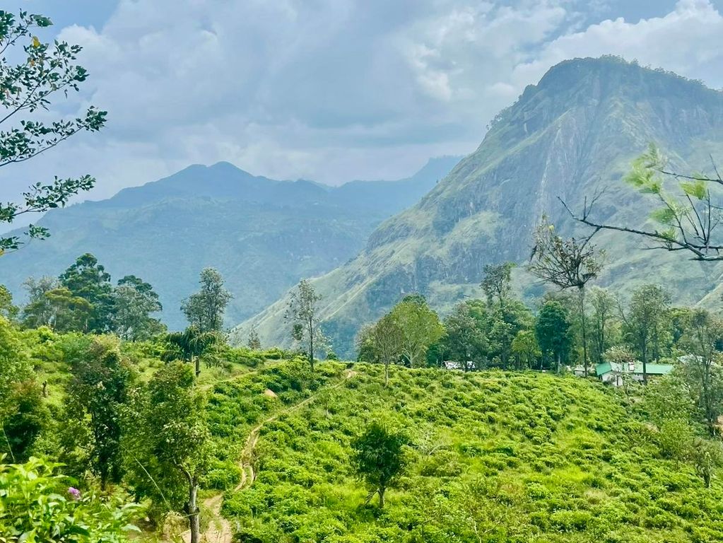 Natuur Sri Lanka